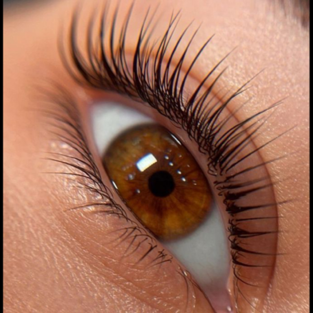 Lash Lift N tint at THE LASH RETREAT in Pflugerville, TX