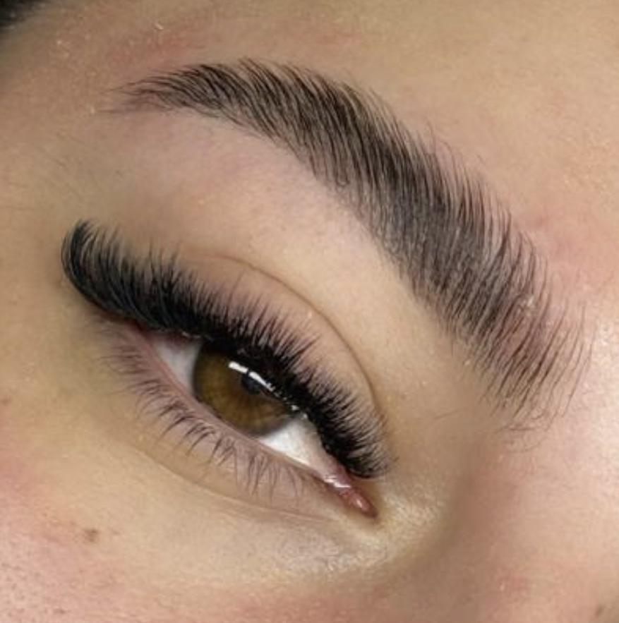 Eyebrow Lamination