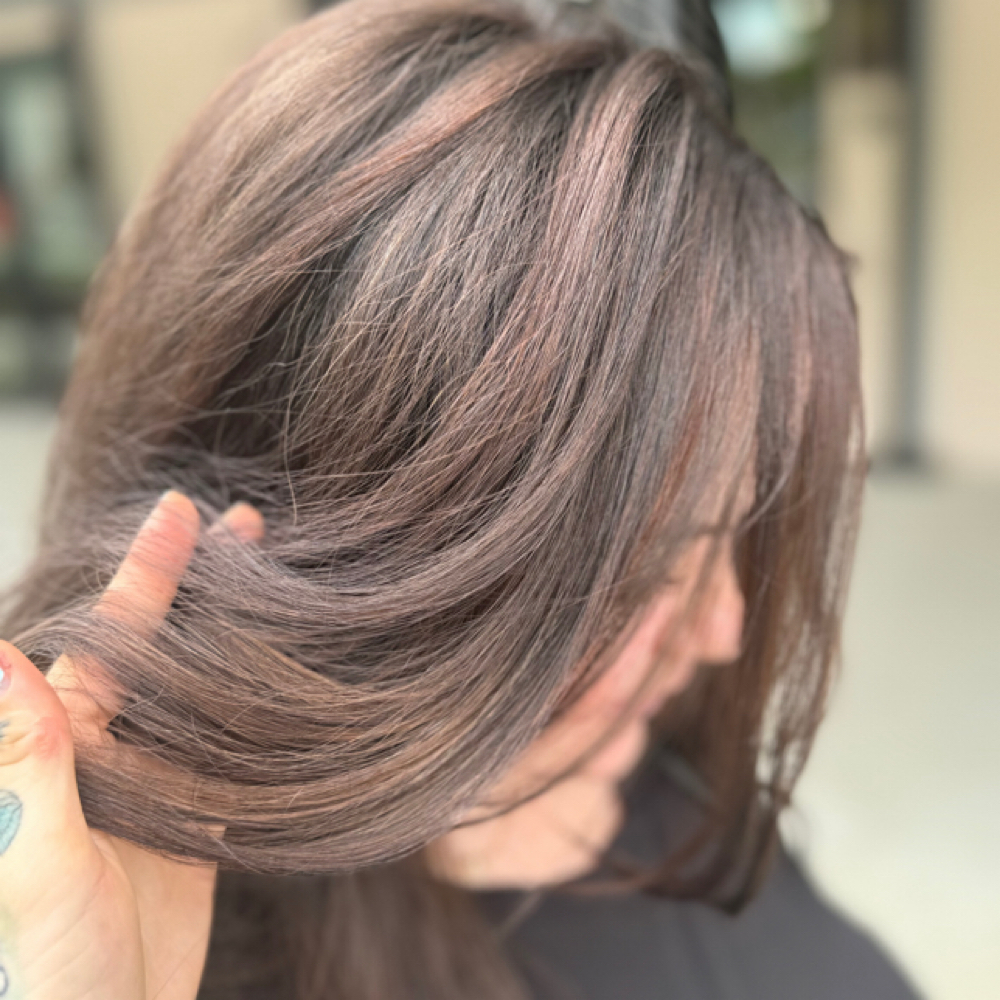 All Over Color+ Partial Foil+ Cut at Hidden Beauty Studios in Charlotte, NC