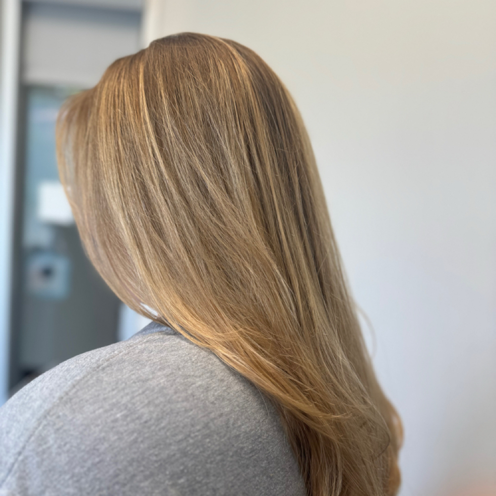 Mini Lived-in Balayage + Cut at Firefly Hair Studio in Jacksonville, FL