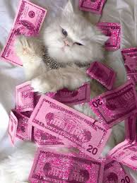 Pretty Kitty package