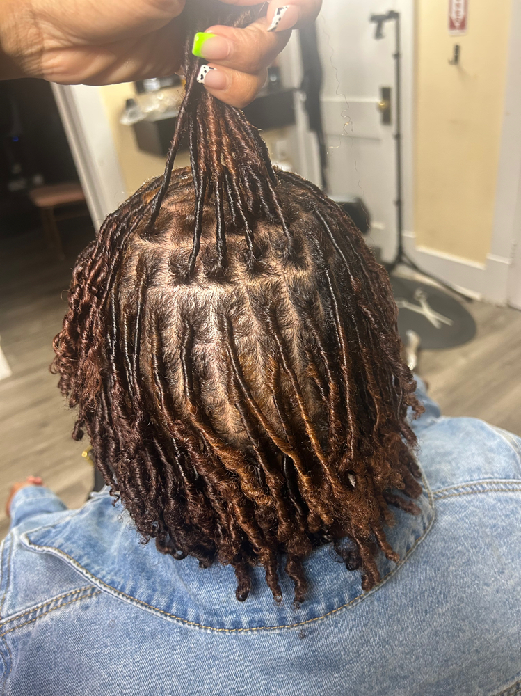 Small Coil Starter Locs at 4Lifers “The Repair God” in Augusta, GA