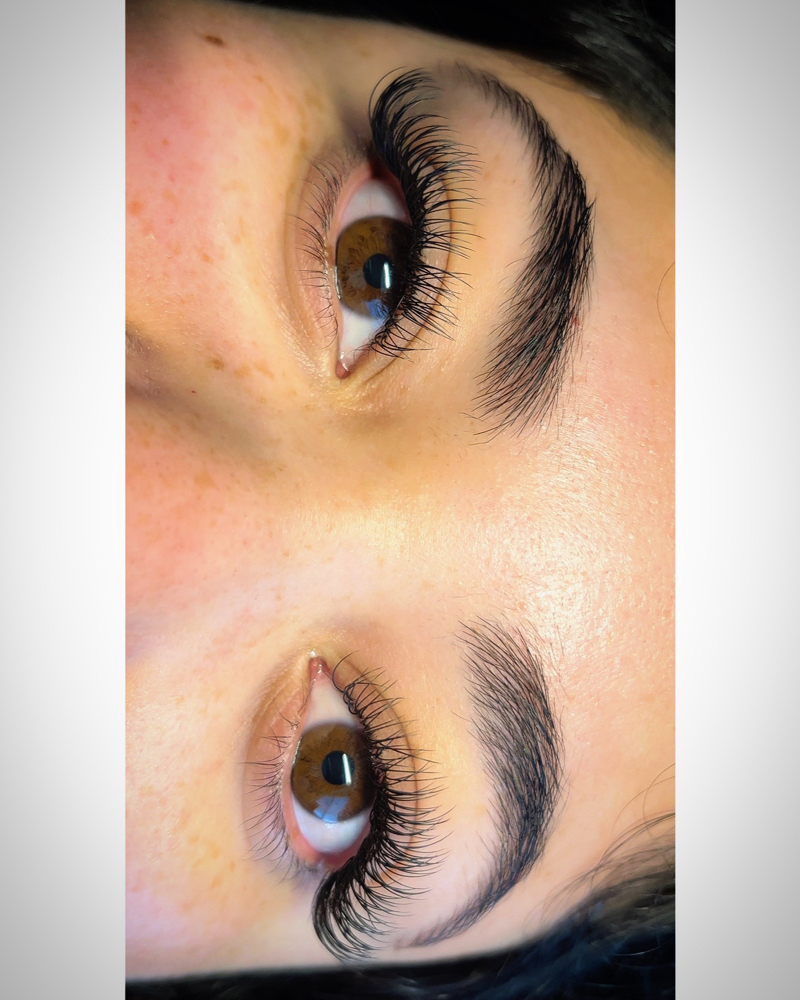 Classic/Classic+ 2 Week Fill