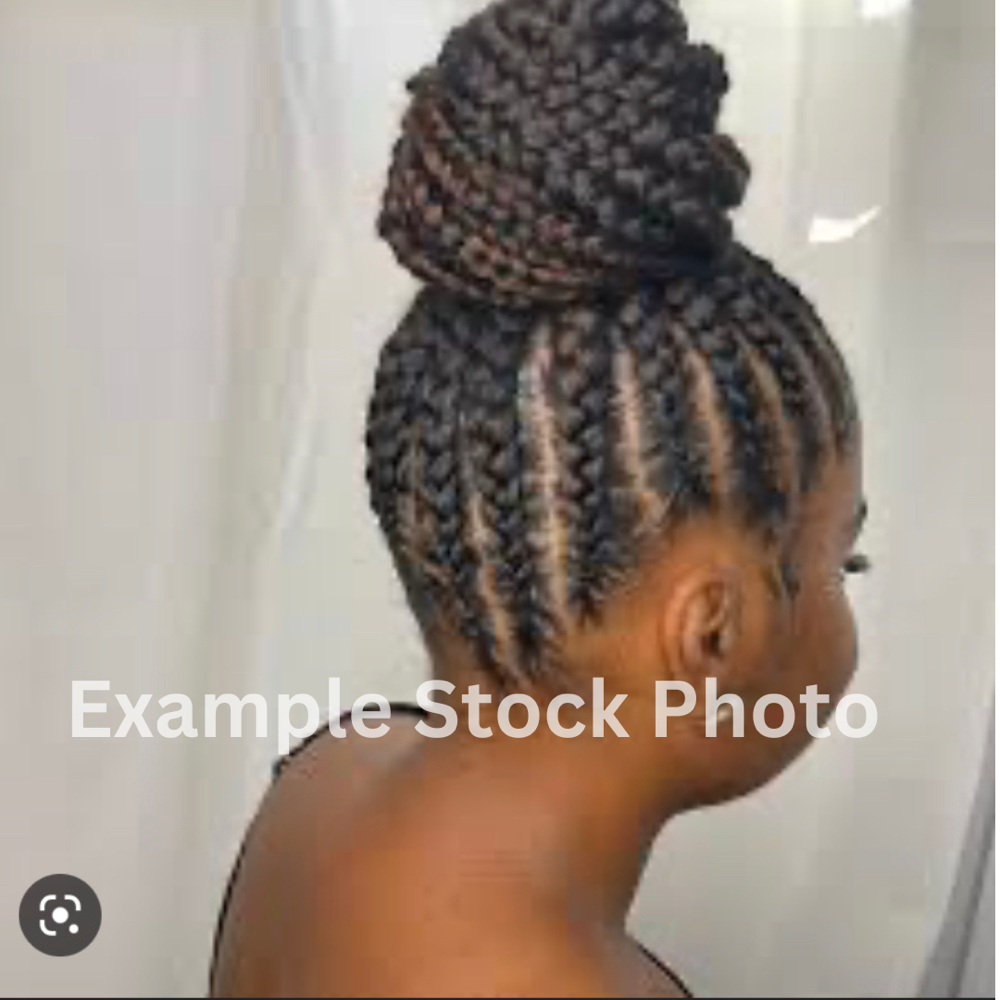 Feed In Braided Ponytail (Medium)