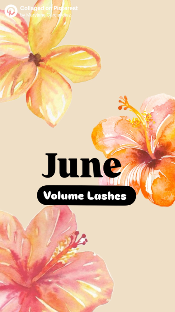 Volume Full Set (June Special)