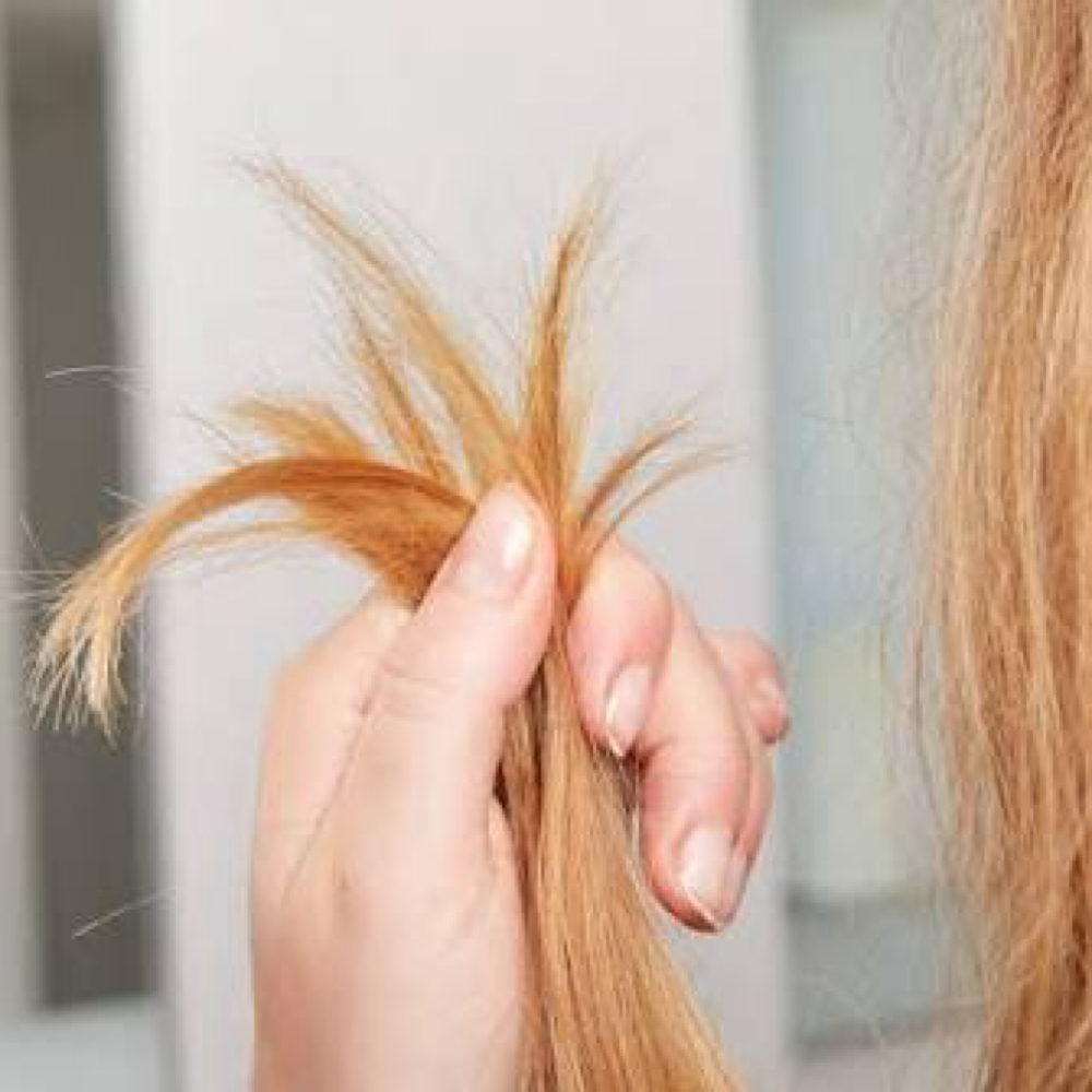 Split end Treatment at The West Beauty Collective in Goodyear, AZ