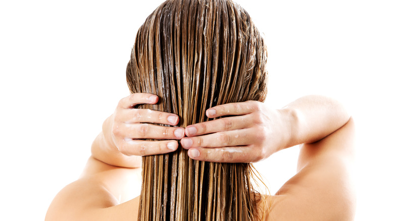 Deep Conditioning Treatment at Salon Lush in Crown Point, IN