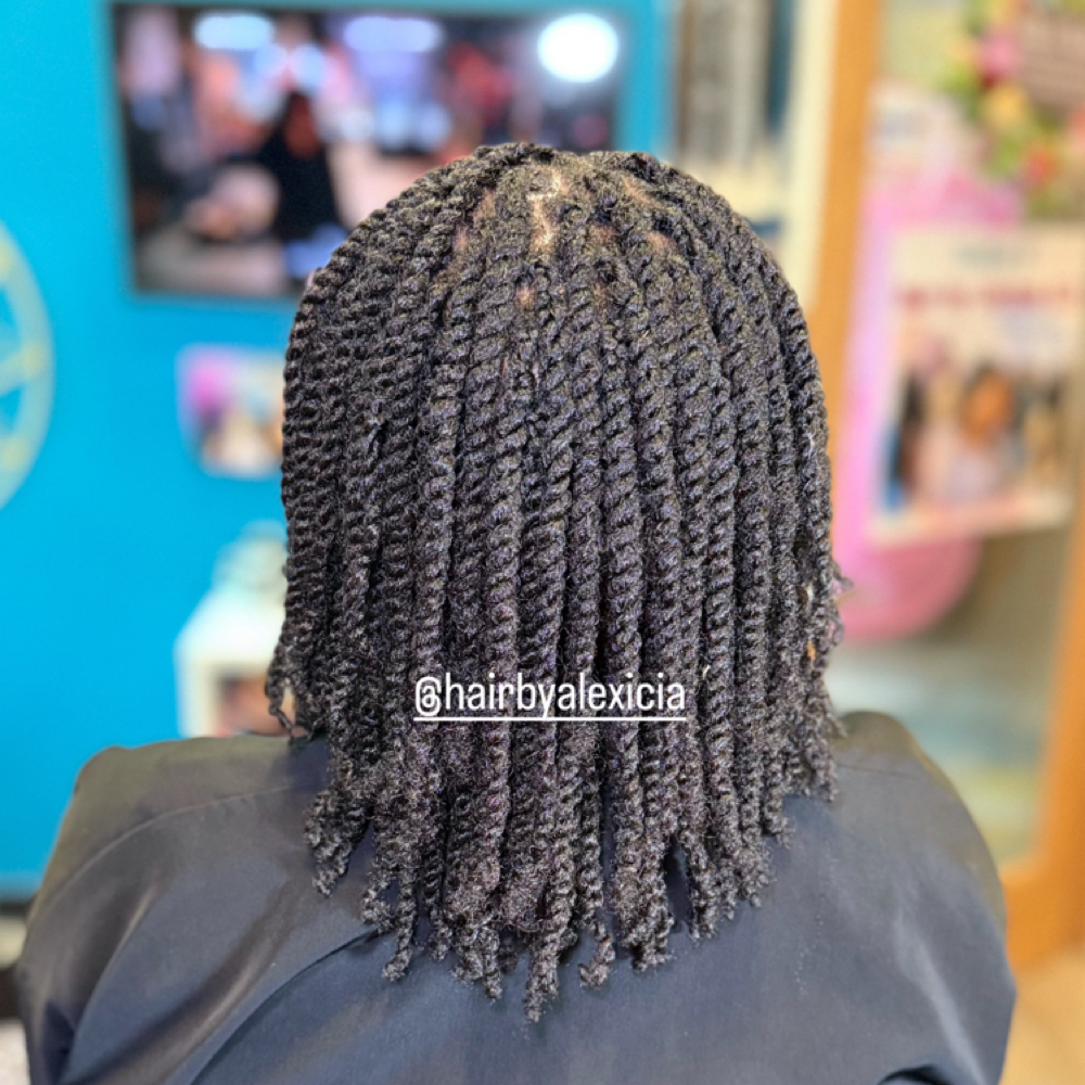 Natural Two Strand Twists - Medium at Hair By Alexicia LLC in Brandywine, MD