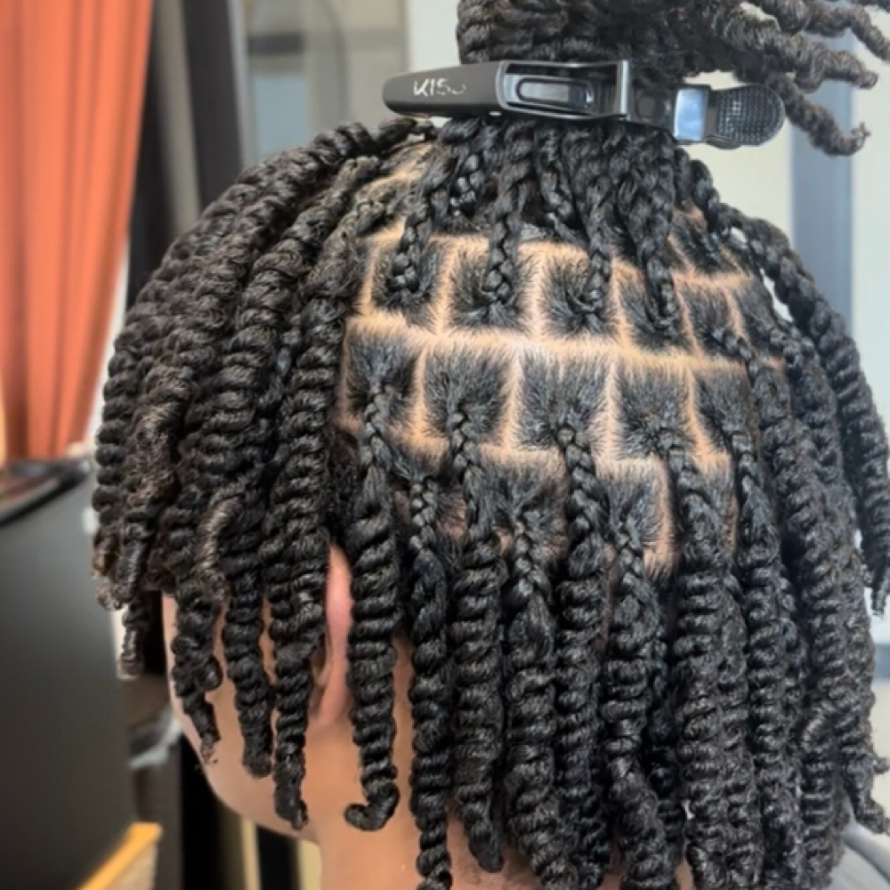 Two Strand W/ Braided Root at Tarionna beauty in Greenville, SC