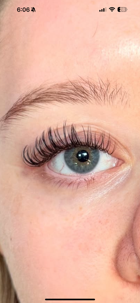 classic fill (2-3wk)