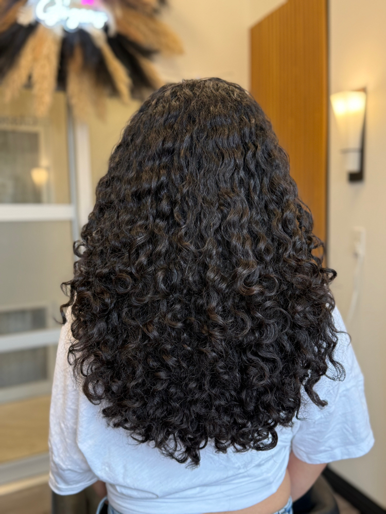Women’s Dry Curly Cut : THICK Hair