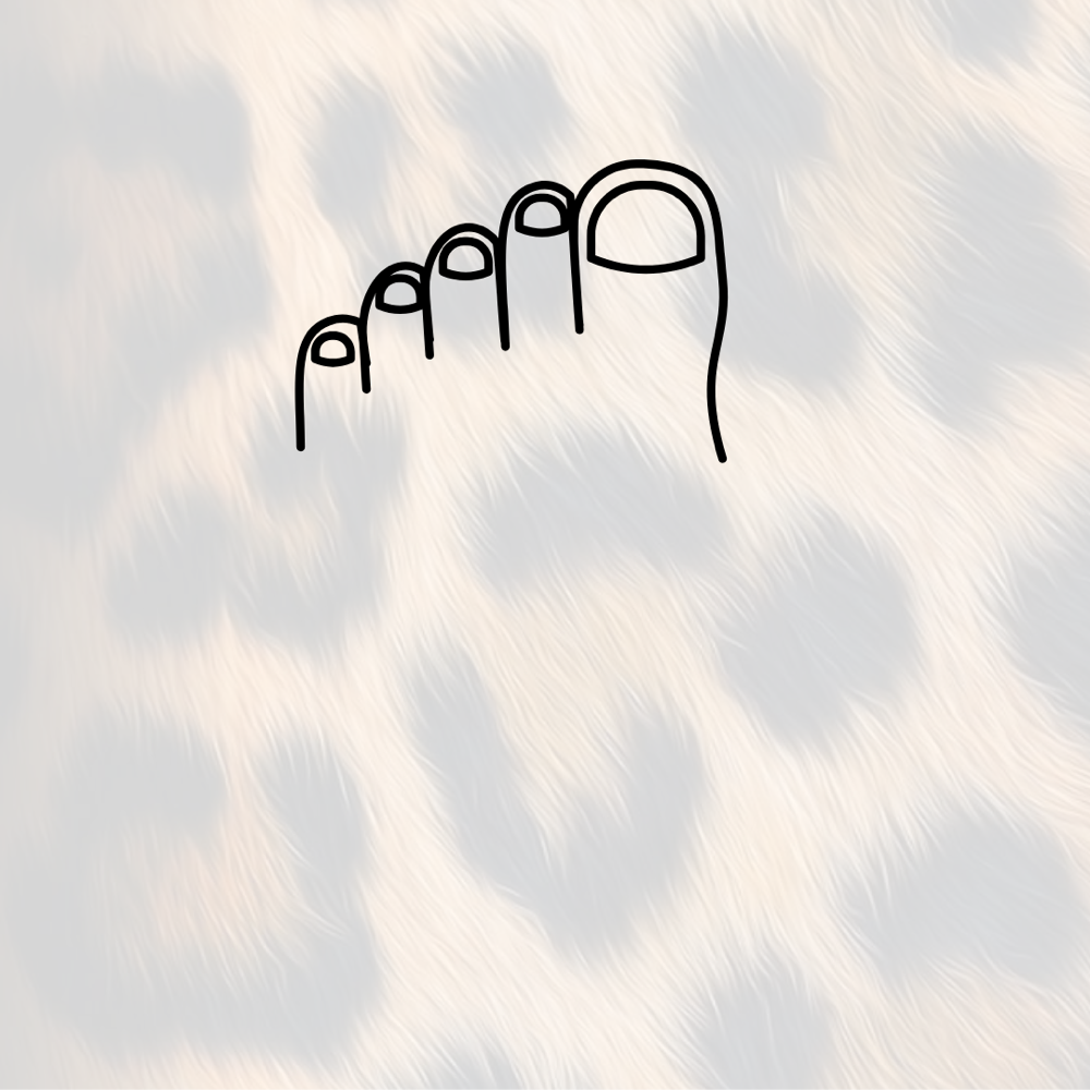 Toe Polish Options at Funkicold Nails in Hapeville, GA