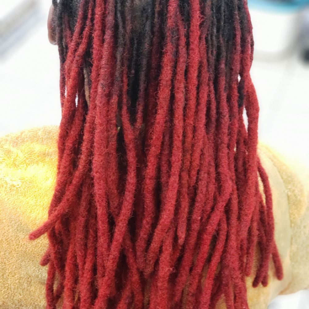 COLOR at HAIR BY LALA LLC in Brooklyn, NY