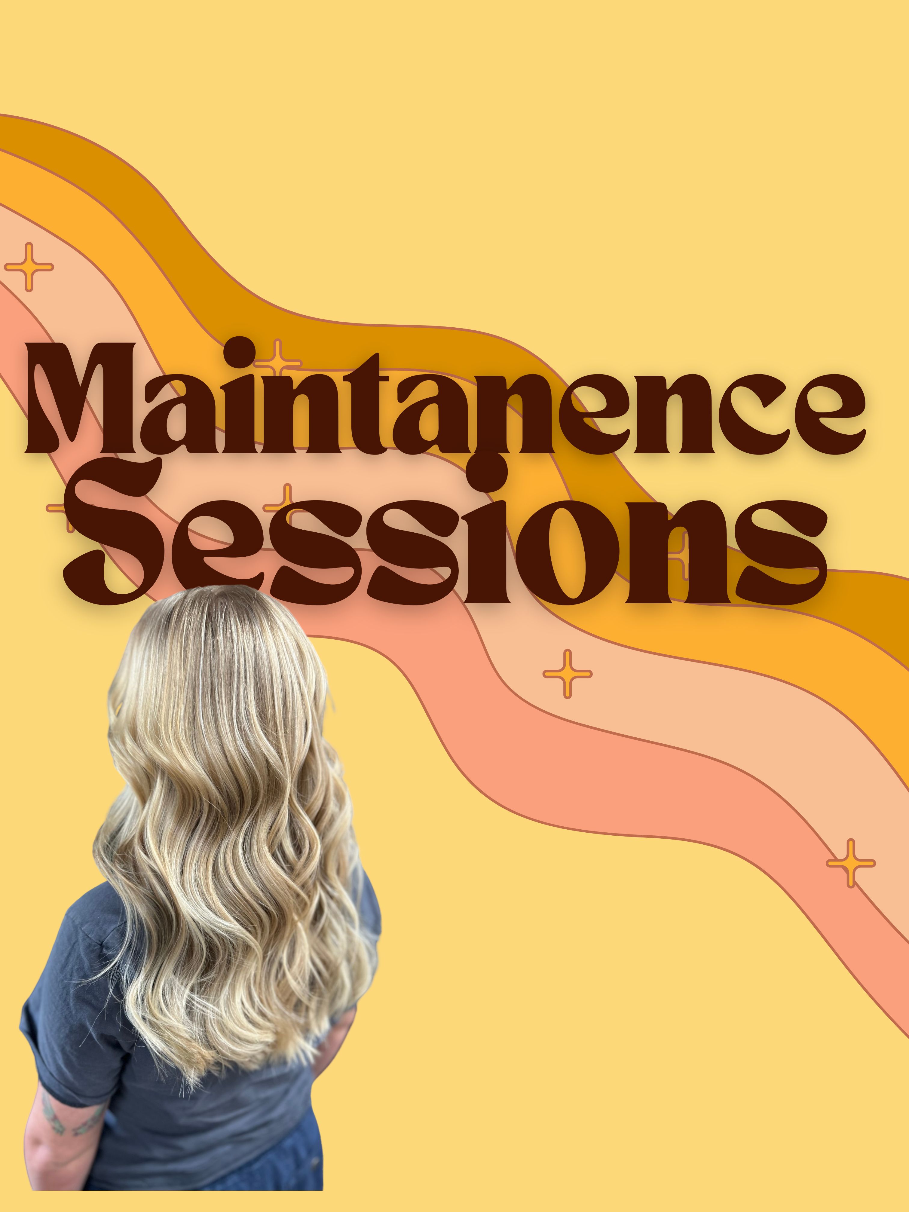 Maintenance Session