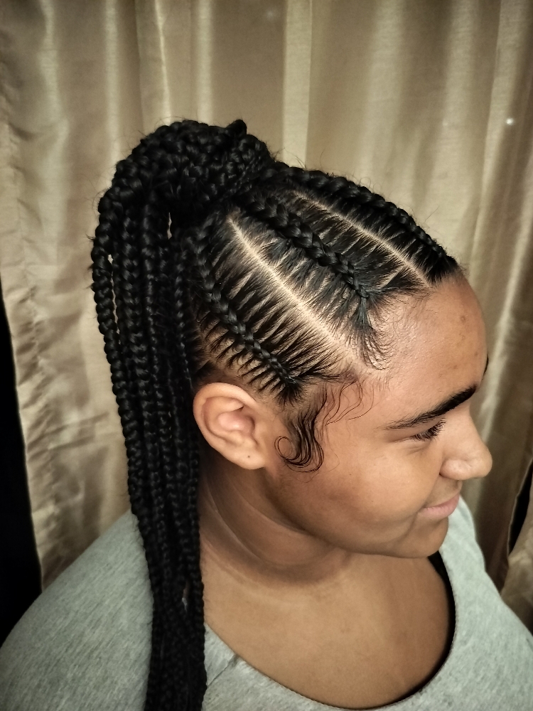 Braided Ponytail