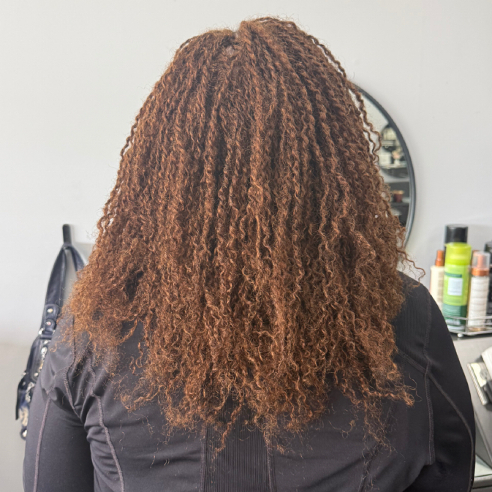 Human Hair Crochet Twists at Nini braids at TL Design in Beaverton, OR