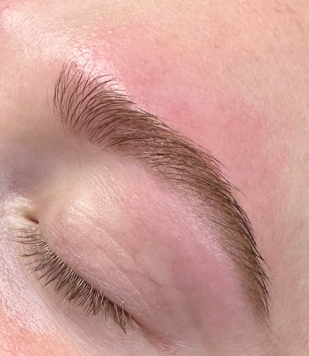 Brow Lamination & Tint