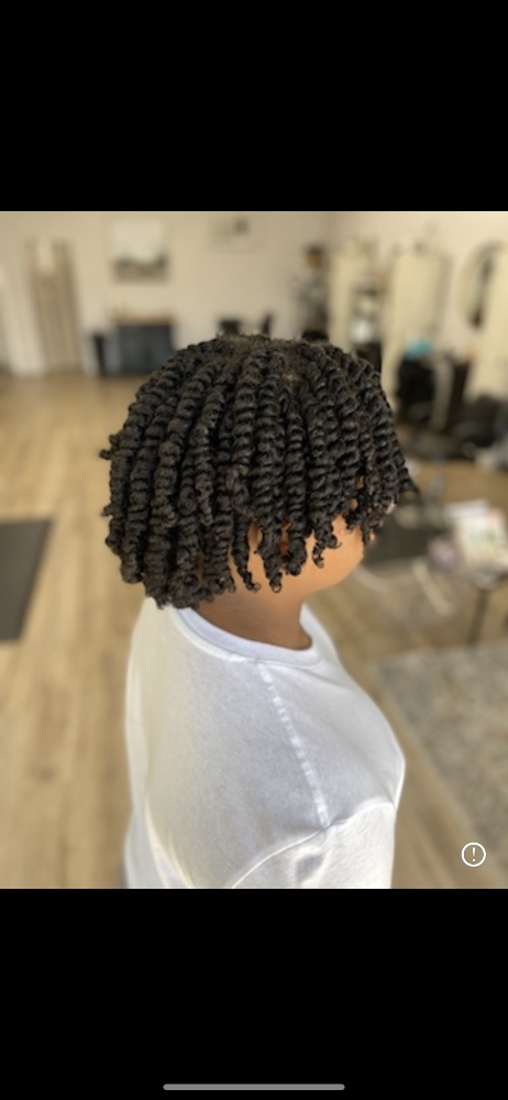Two Strand Twist (Natural Hair)