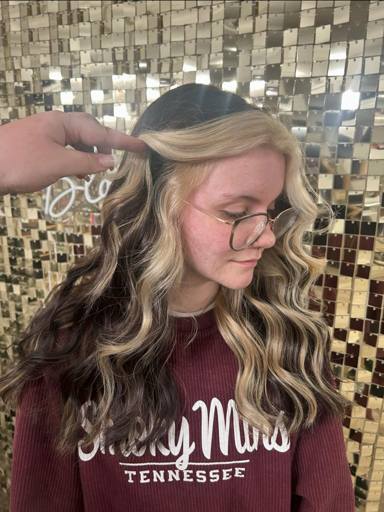 Halo Color at Rouge & Co. Salon in Sumiton, AL