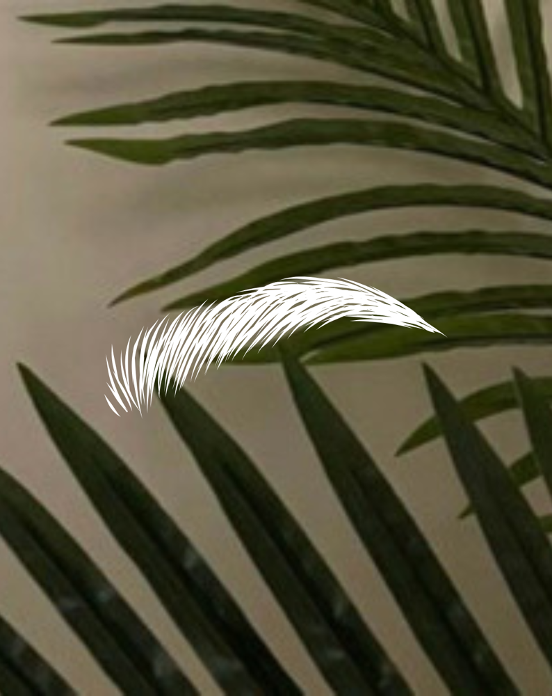 Brow Define & Design at Kay’s Evolve Esthetics in Slinger, WI