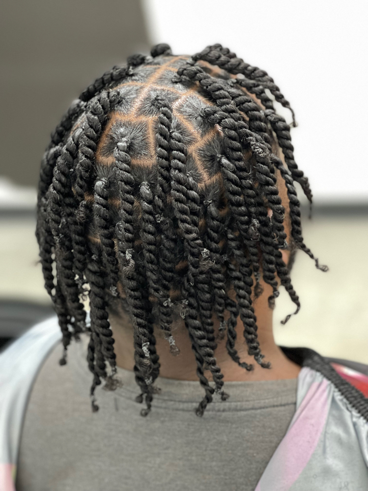 2 Strand twist at Tks Beauty Bar LLC in Memphis, TN