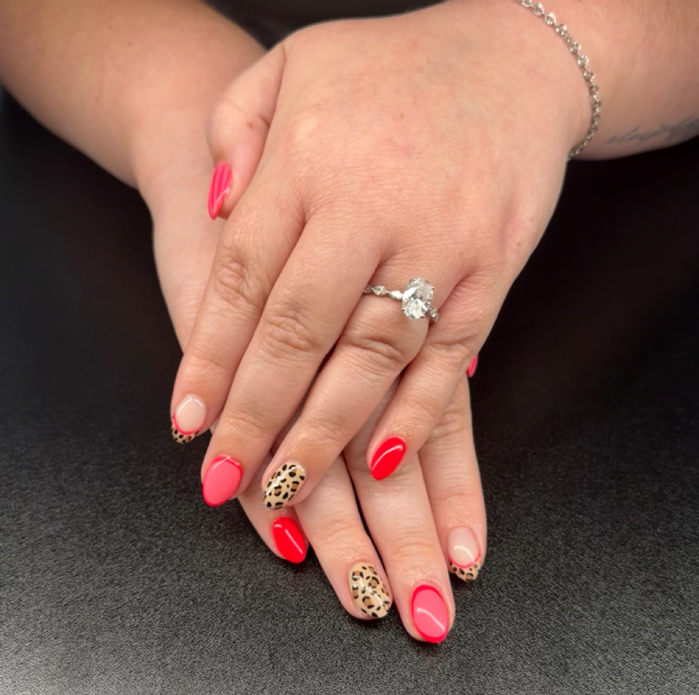 Builder Gel Fill at Haus Of Beauty in Connersville, IN