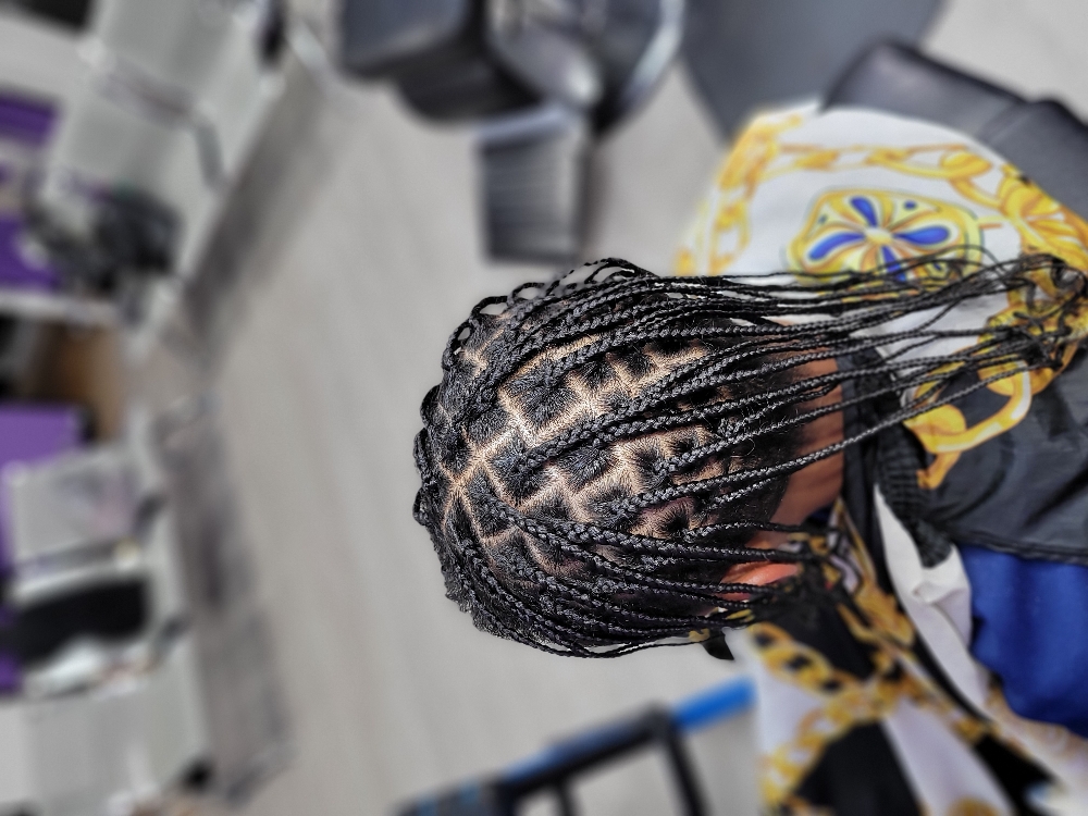 Creative Plaits