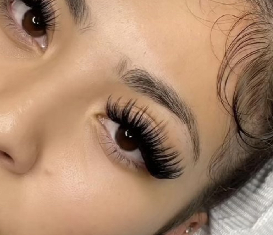 Dolly Lashes