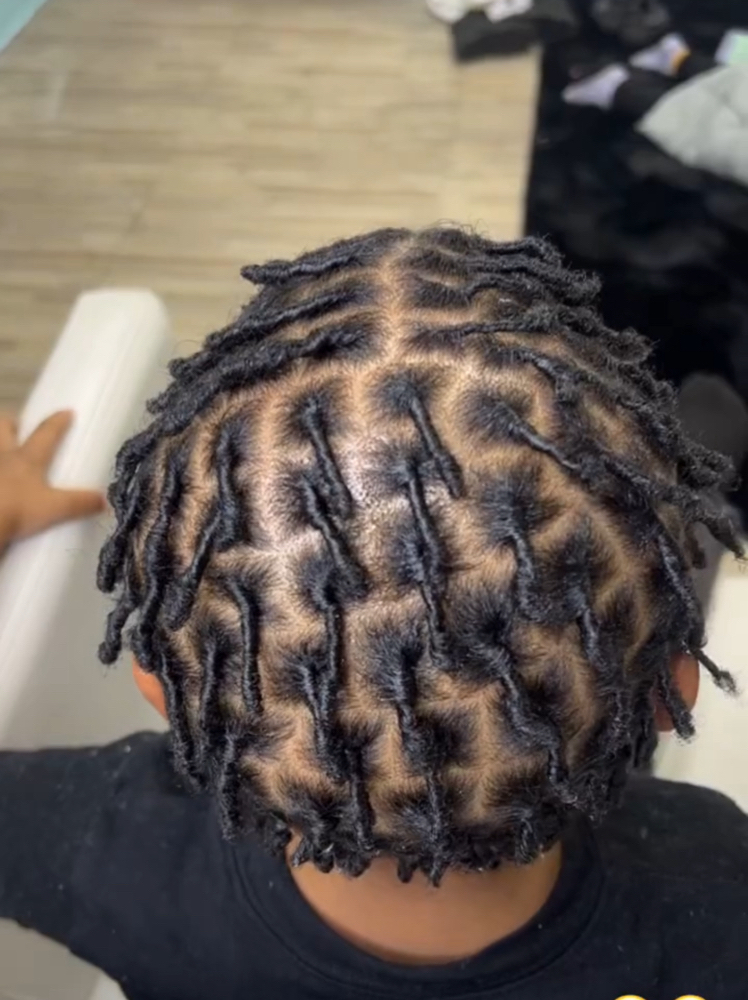 Starter Locs