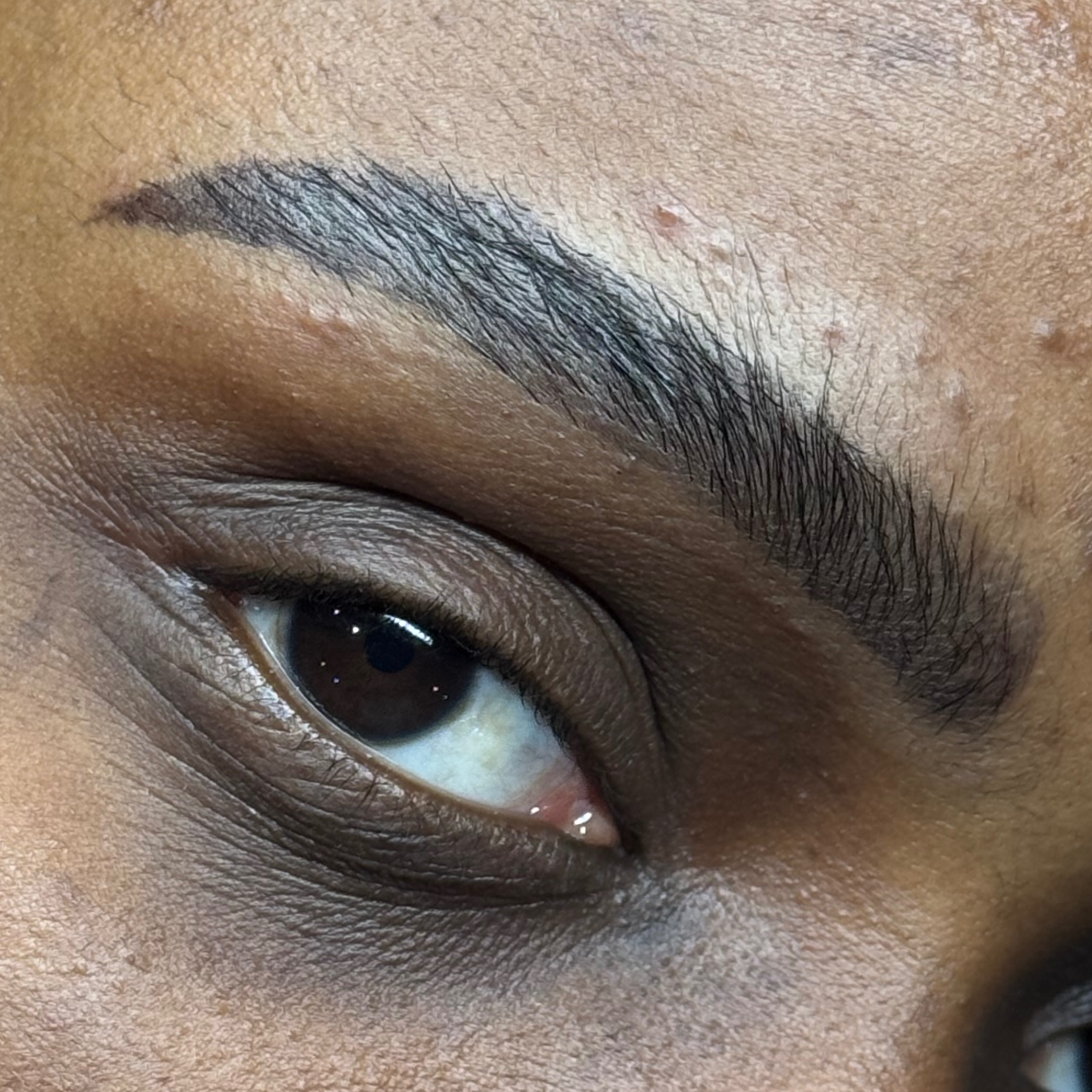 Brow lami and tint at MG Beauty Studio in Cincinnati, OH