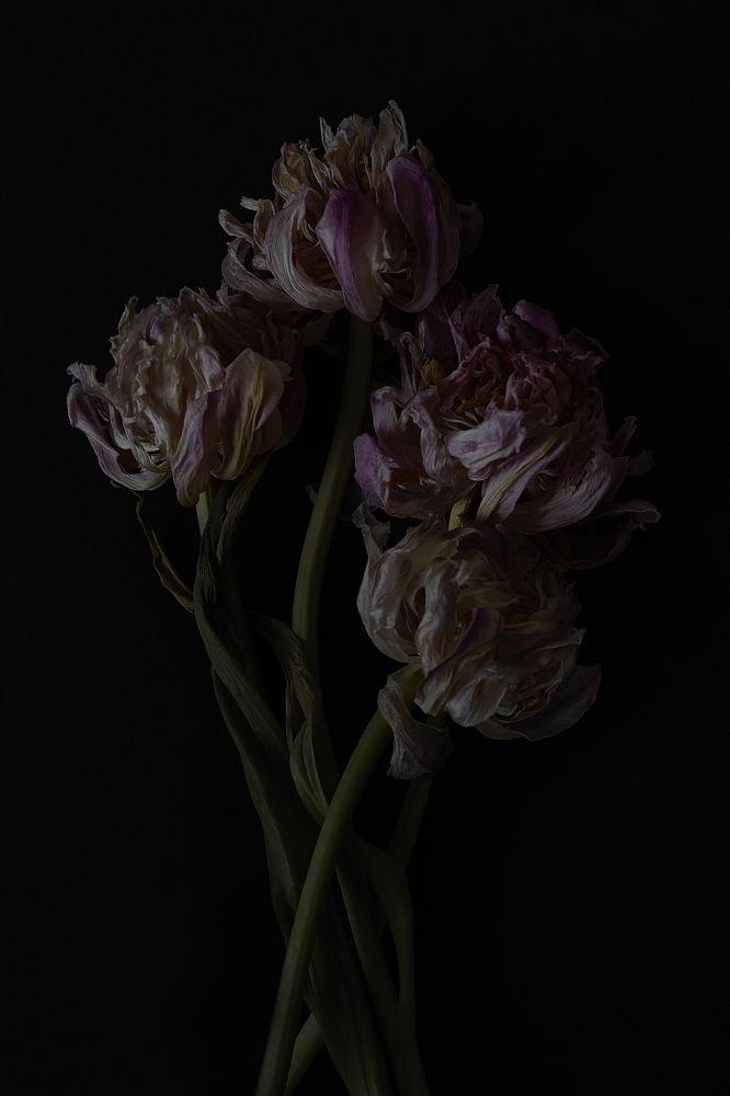 Signature Cut and Blowout