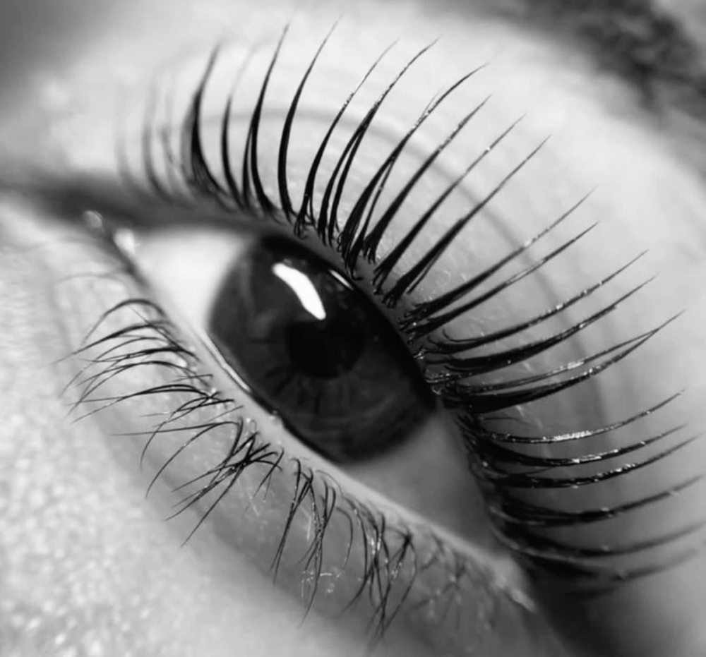 Lash Lift & Tint at Avenue Salon & Spa in Hoquiam, WA