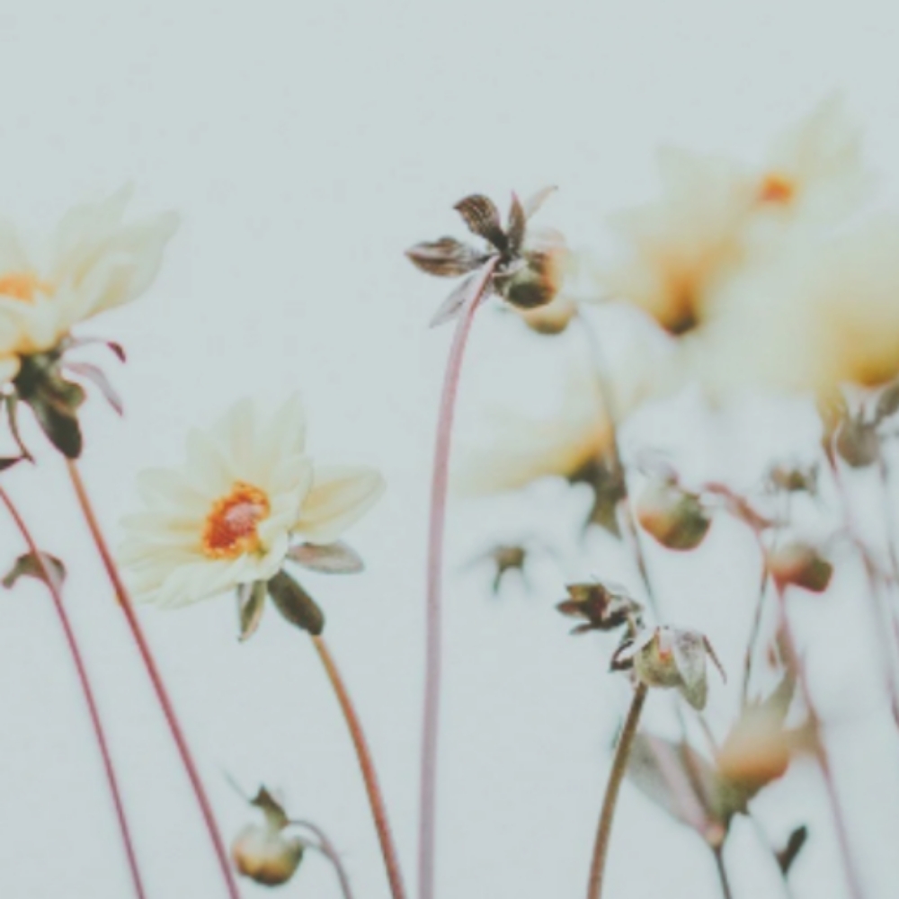 Color Retouch, Cut & Blowdry at Oxford&Mane in Oxford, NC