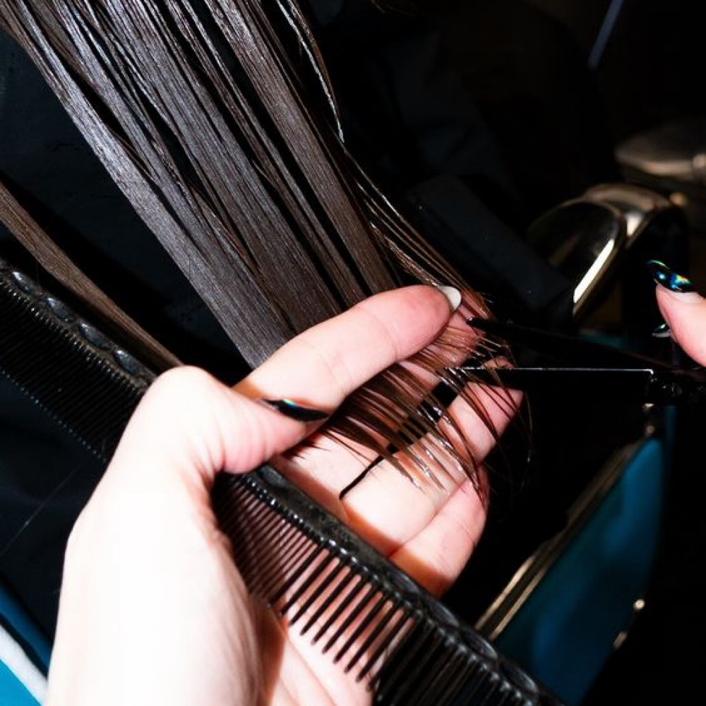 Dry Cut at The Blonde Society in Hazel Green, AL