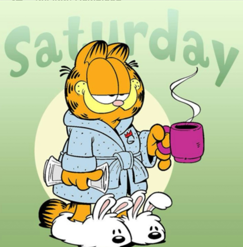 Saturday Additional Fee