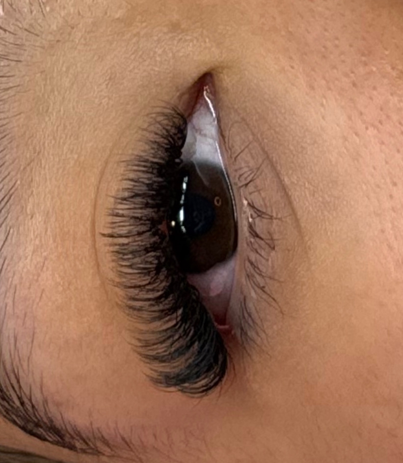 Light Volume