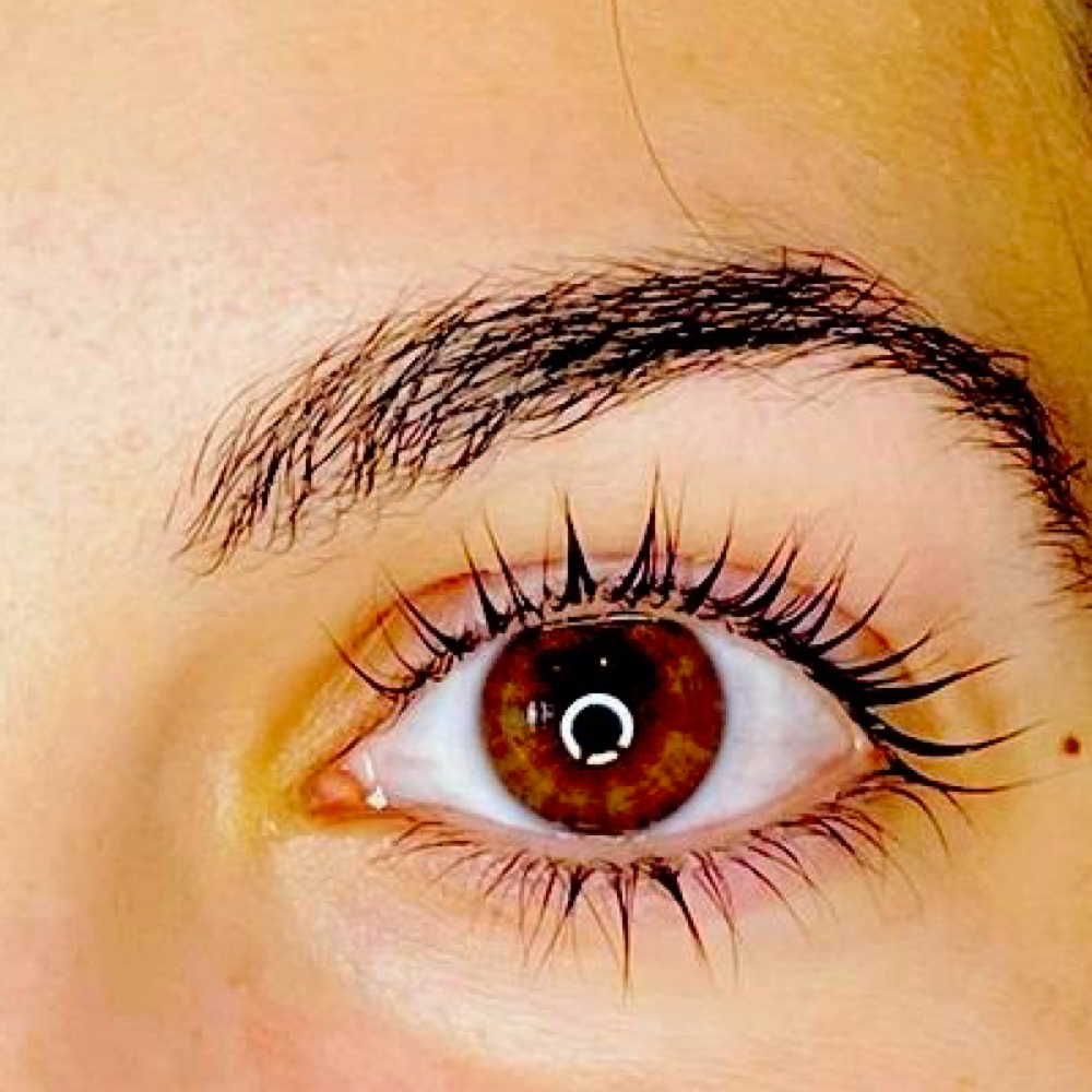Lash Tint at Natural Lash and Brow Studio in New York, NY