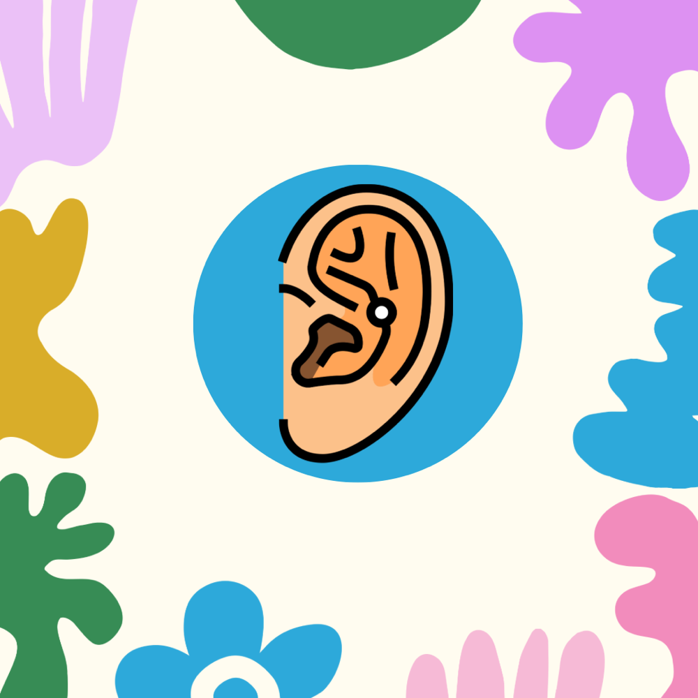 Inner/ Outer conch