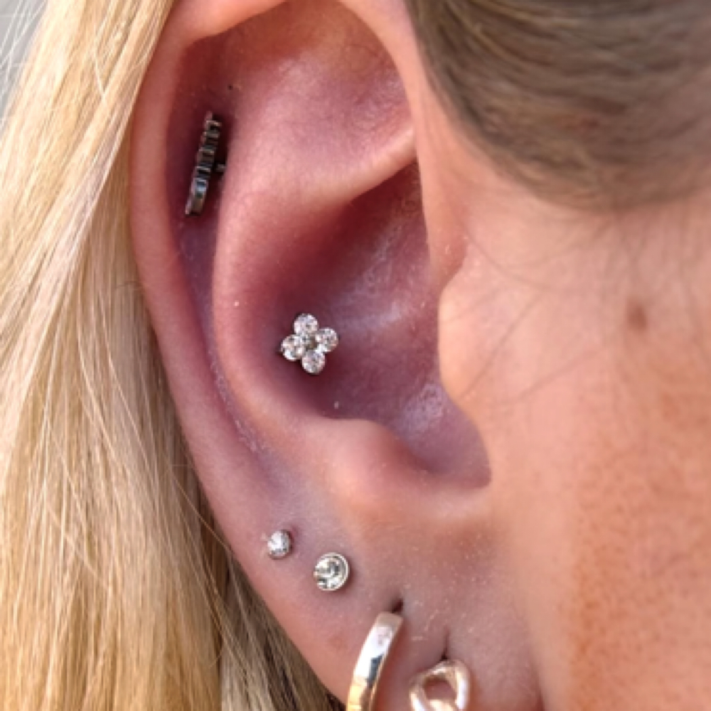 INNER/OUTER CONCH at DeAna’s Diamonds in Green cove springs, FL