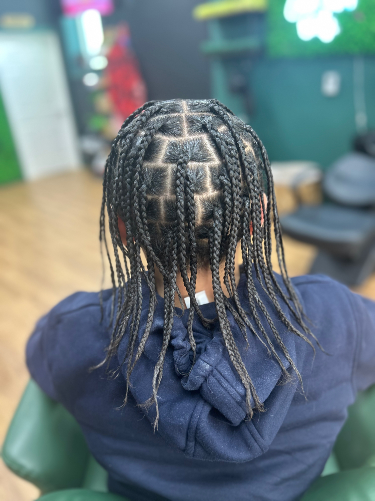 Box Braids (natural Hair )