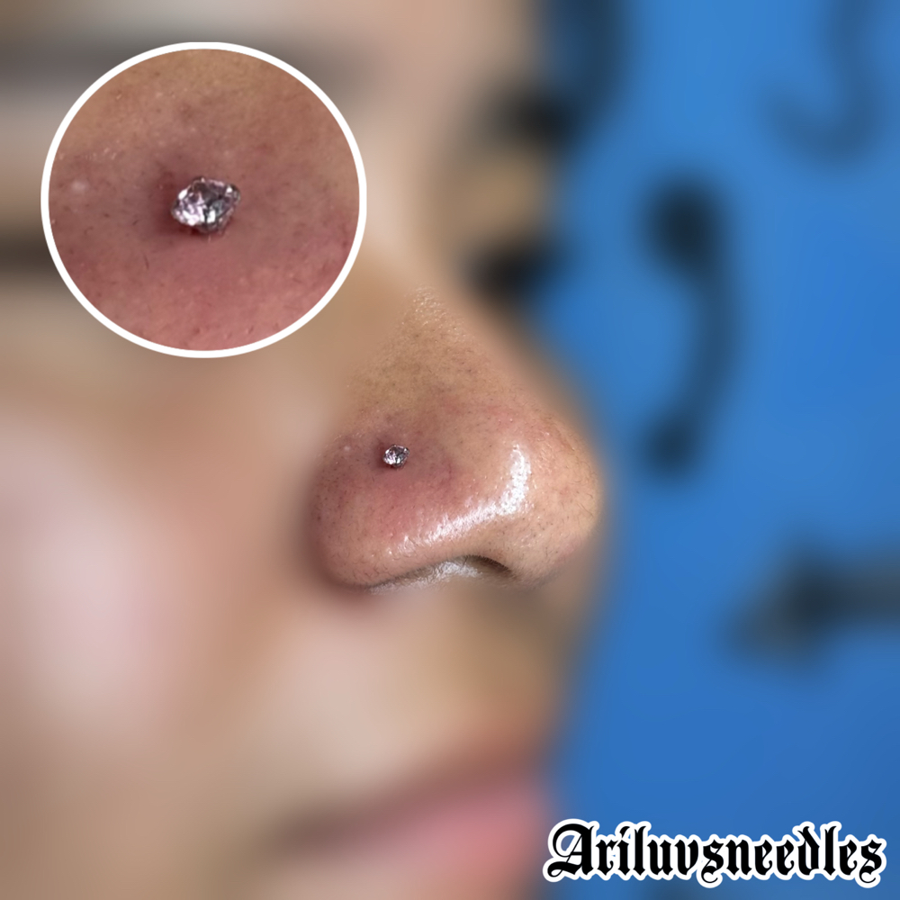 Nostril (single)