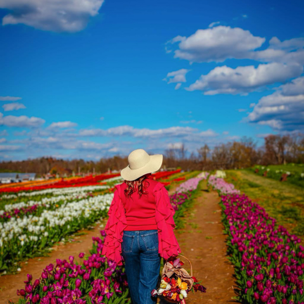 Tulip Mommy&Me Mar 28 & Apr 4 at Sunshine Studios by Traci Browning in Hanover, WV