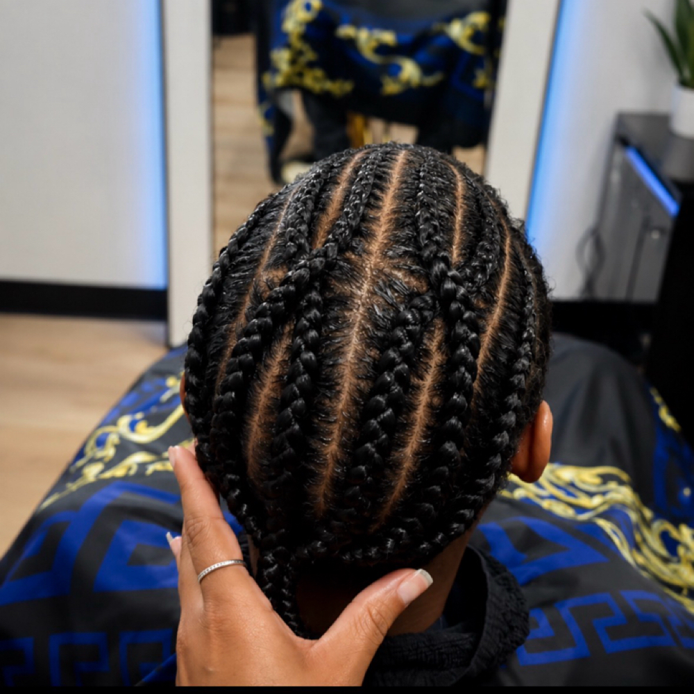 Just Braids 4-6 at StylesByHer in King Of Prussia, PA