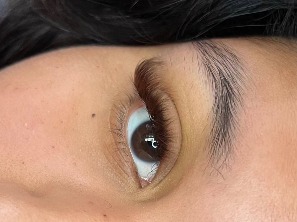 “Noemi” Brown Volume Set🤍