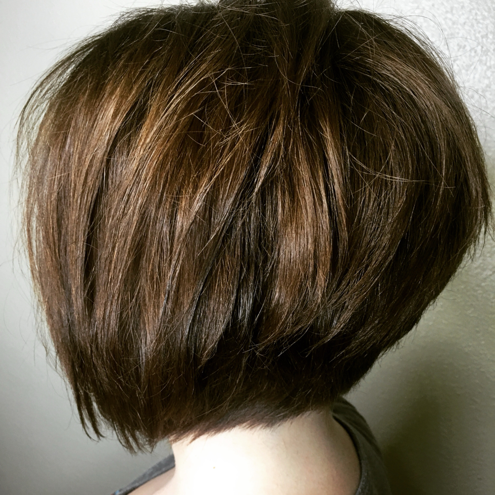 Women’s Dry Haircut