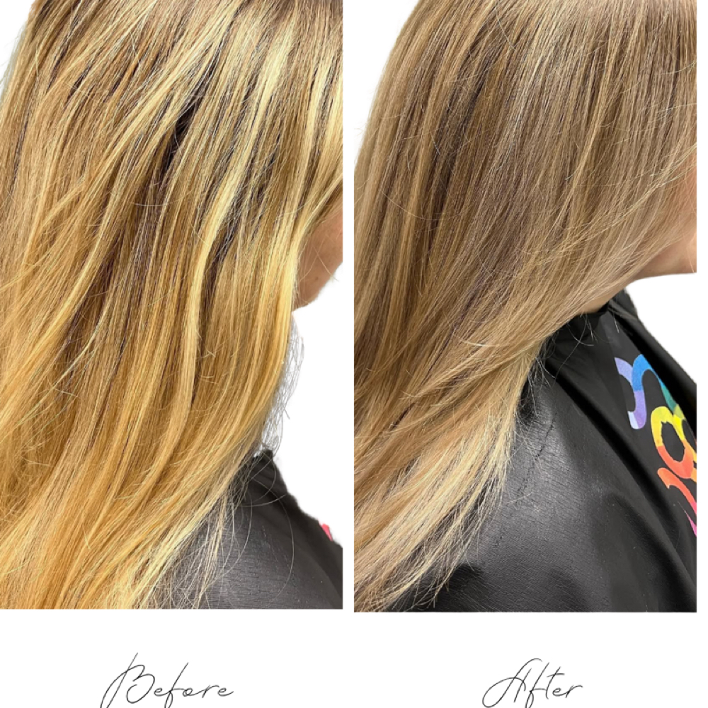 Color Refreshing Glaze (Toner) at Colored and Cut by Cait in Goldsboro, NC