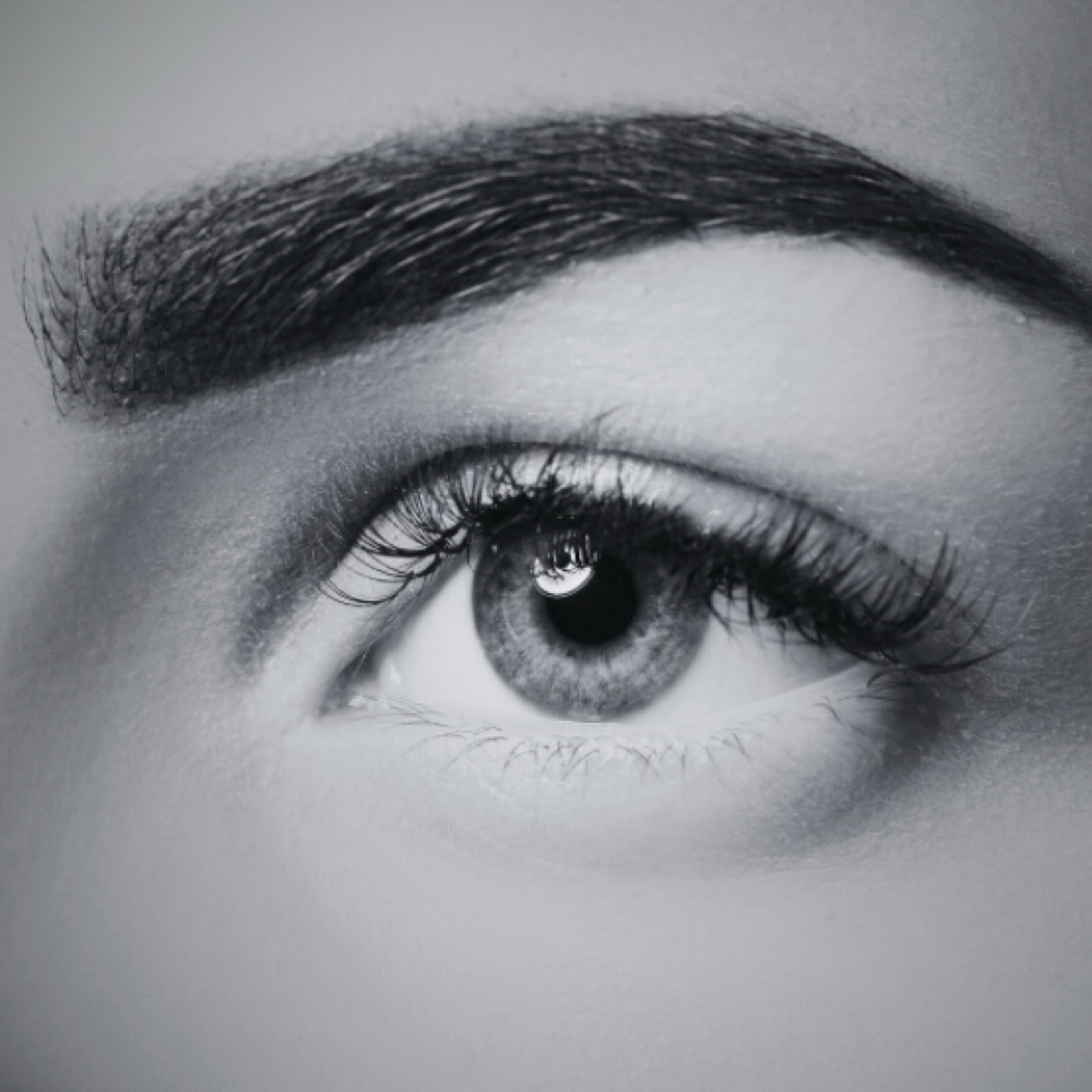 Complete Brow Service at Dark Venom Beauty in St Augustine, FL