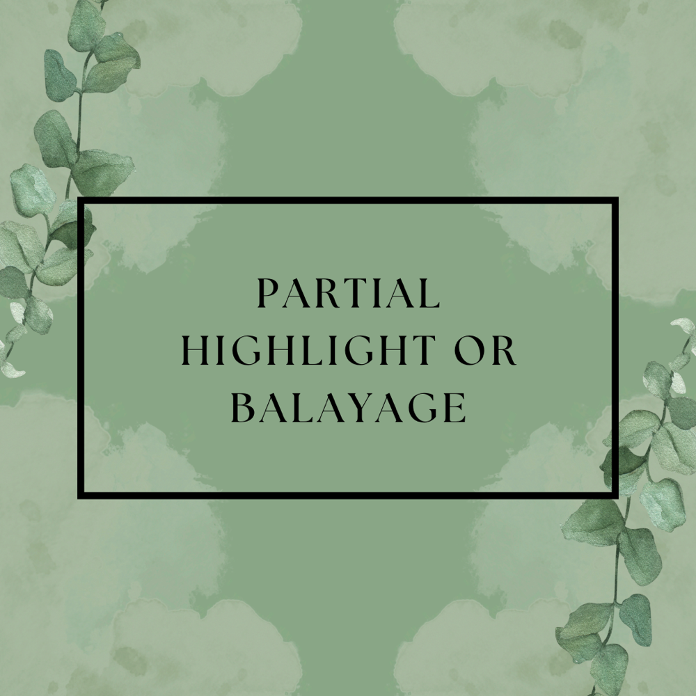 Partial Highlight / Balayage