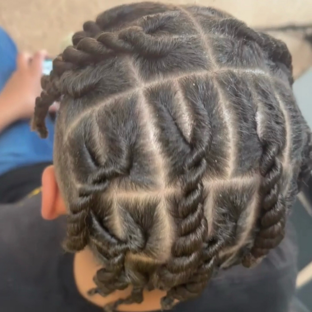 Two Strand Twist