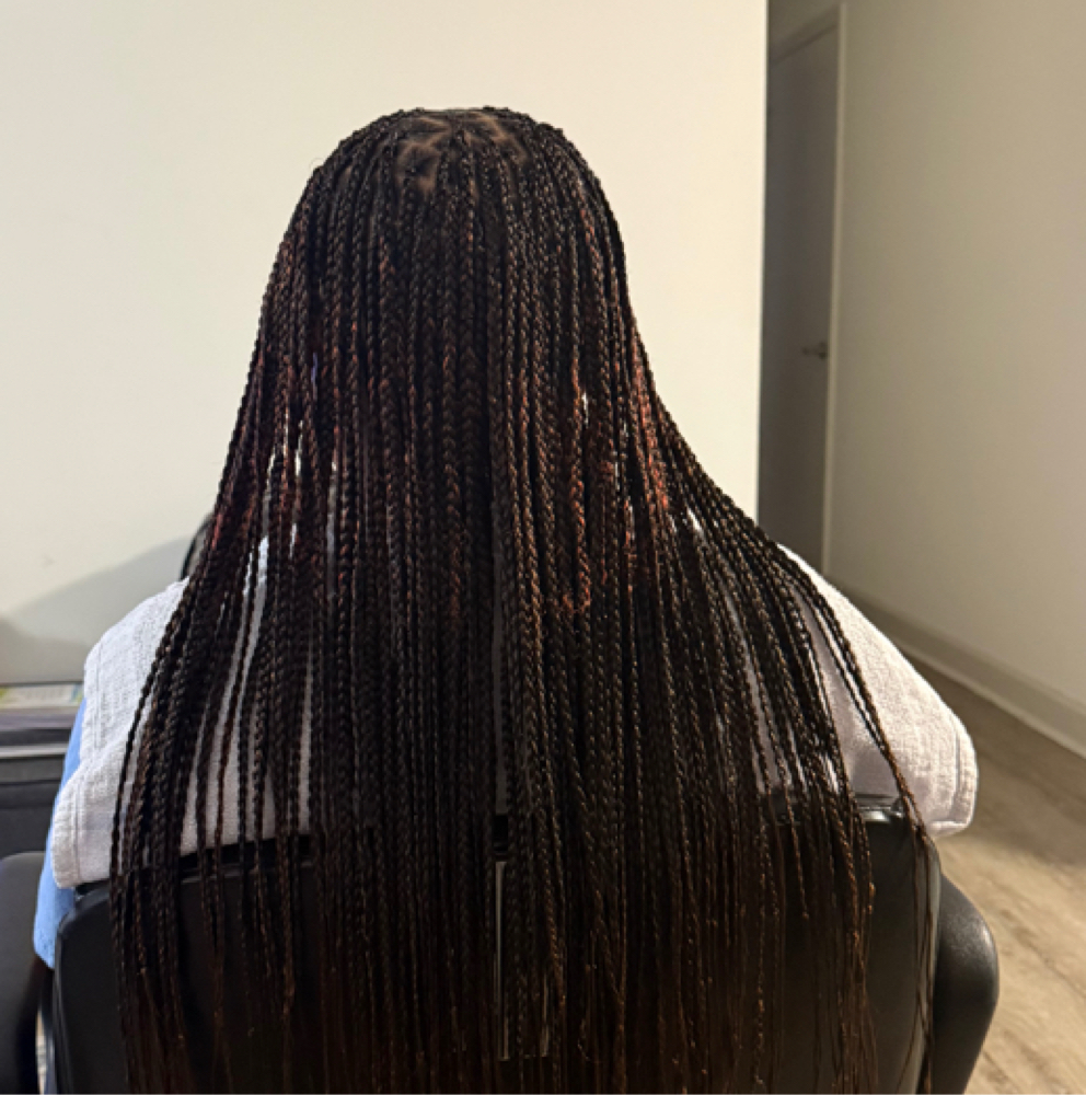 Small Knotless at braidedbyniya in fayetteville, NC